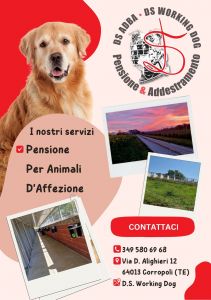 Volantino DS Working Dog Pensione e addestramento per cani